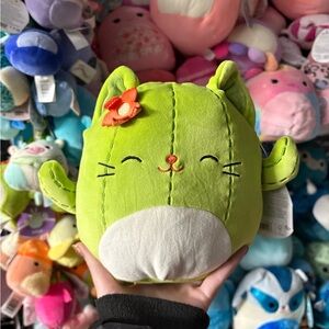 Ms. Miss the green cactus cat squishmallow NWT 7in